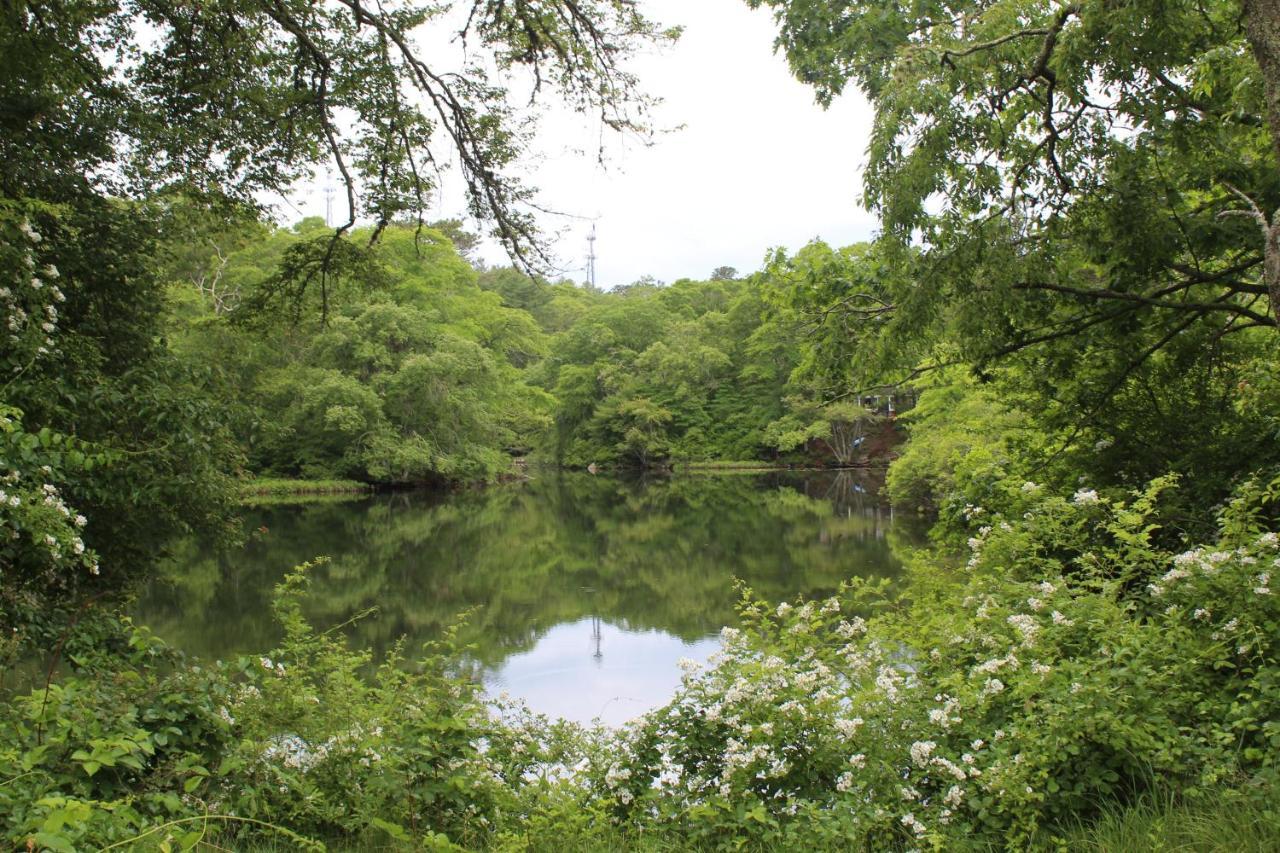 Herring Run Cabins And Inn Bourne Kültér fotó