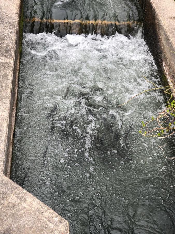 Herring Run Bourne Kültér fotó